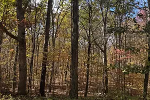 87 Buff Cap Rd, Tolland, CT 06084 - Photo 4