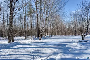 143 Caulfield Rd, Torrington, CT 06790 - Photo 36