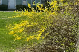 455 Dowd Ave, Canton, CT 06019 - Photo 24