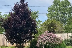 21 Glenn Ln, West Hartford, CT 06110 - Photo 30