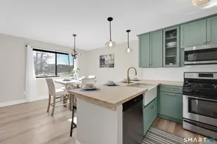 273 Cottonwood Rd, Newington, CT 06111 - Photo 10