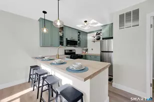 273 Cottonwood Rd, Newington, CT 06111 - Photo 12