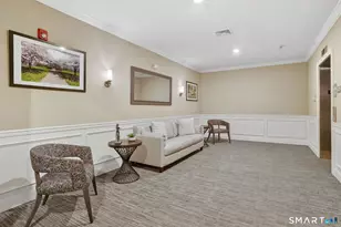 233 Danbury Rd, Ridgefield, CT 06877 - Photo 20