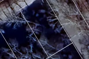 Hinkel Mae Dr, Coventry, CT 06238 - Photo 1