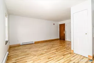 171 Aspetuck Vlg, New Milford, CT 06776 - Photo 8