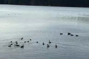 71 Ellington Rd, Tolland, CT 06084 - Photo 26