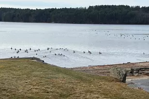 71 Ellington Rd, Tolland, CT 06084 - Photo 6