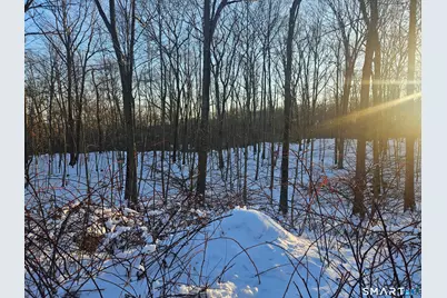 38 Woodland Drive, Montville, CT 06382 - Photo 4