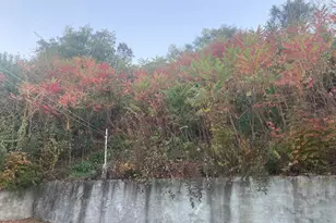 570 Chase Ave, Waterbury, CT 06704 - Photo 12