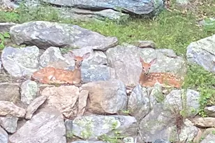 237 Chestnut Hill Rd, Killingworth, CT 06419 - Photo 34