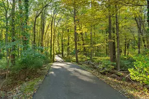 335 Georgetown Rd, Weston, CT 06883 - Photo 38