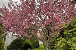 33 Old Field Hill Rd, Southbury, CT 06488 - Photo 36