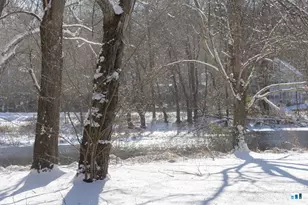 65 Main St, Essex, CT 06442 - Photo 30