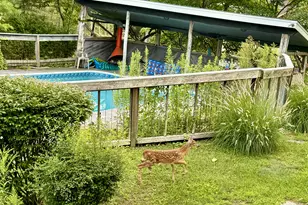 48 Preston Ln, Salisbury, CT 06068 - Photo 32