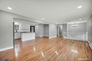 84 Raffia Rd, Enfield, CT 06082 - Photo 8