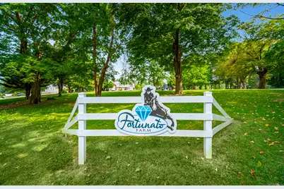 558 North Roast Meat Hill Road, Killingworth, CT 06419 - Photo 2