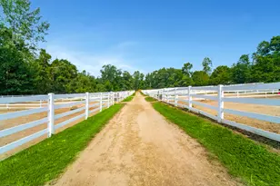 558 N Roast Meat Hill Rd, Killingworth, CT 06419 - Photo 30