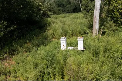 1105 Norwich New London Turnpike, Montville, CT 06382 - Photo 2