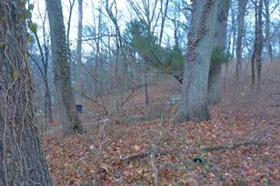 406 Strong St, East Haven, CT 06512 - Photo 34