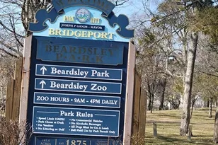 50 Greenhouse Rd, Bridgeport, CT 06606 - Photo 32