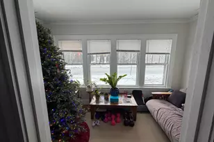 209 Willard St, New Haven, CT 06515 - Photo 8