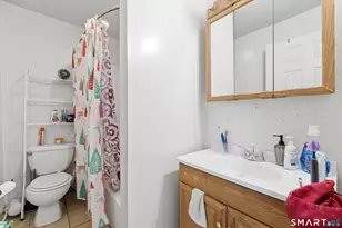 56 Green St, Middletown, CT 06457 - Photo 20