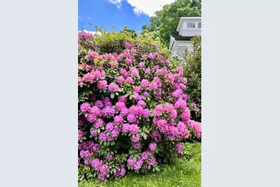 88 Five Mile River Road, Darien, CT 06820 - Photo 32