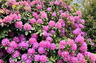 88 5 Mile River Rd, Darien, CT 06820 - Photo 32