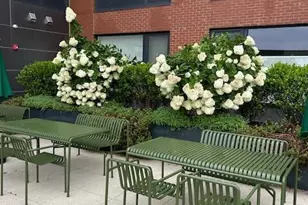 42 John St, Stamford, CT 06902 - Photo 20