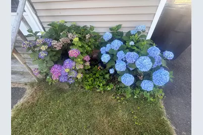 5 Vine Street, Milford, CT 06460 - Photo 26