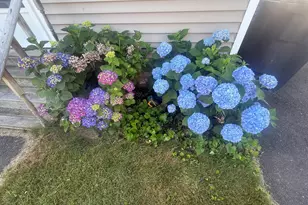 5 Vine St, Milford, CT 06460 - Photo 26