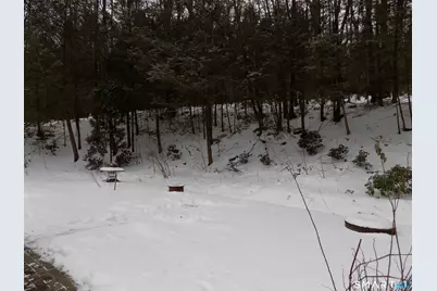 309 New Hartford Road, Barkhamsted, CT 06063 - Photo 16