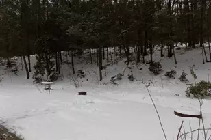 309 New Hartford Rd, Barkhamsted, CT 06063 - Photo 16