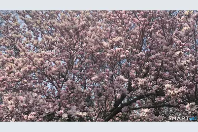 248 Soundview Avenue, Shelton, CT 06484 - Photo 38