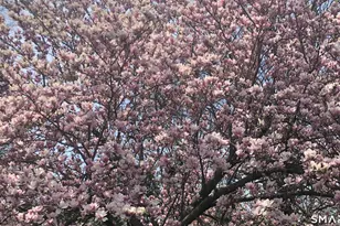 248 Soundview Ave, Shelton, CT 06484 - Photo 38