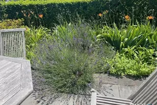 11 Tuxis Rd, Madison, CT 06443 - Photo 34