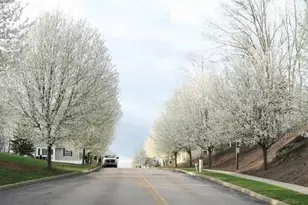 152 Briar Ln, Norwich, CT 06360 - Photo 1