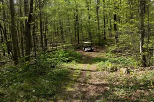 Litchfield Rd, Watertown, CT 06795 - Photo 1