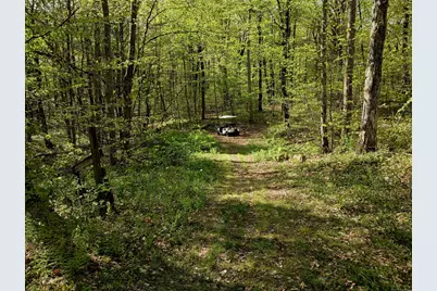 Litchfield Road, Watertown, CT 06795 - Photo 6