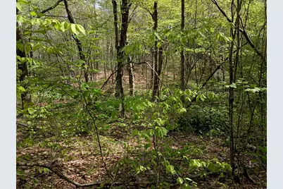 Litchfield Road, Watertown, CT 06795 - Photo 6