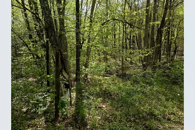 Litchfield Road, Watertown, CT 06795 - Photo 4