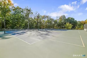 85 Winding Ridge Way, Danbury, CT 06810 - Photo 28