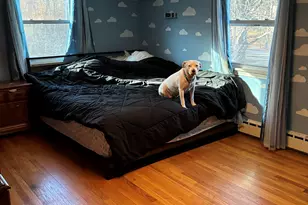 52 Alger Rd, East Haddam, CT 06423 - Photo 18