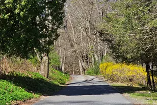 112 W Lake Rd, Woodbury, CT 06798 - Photo 30