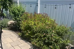 376 Windsor Ave, Stratford, CT 06614 - Photo 4