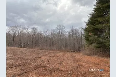 115 McBride Road, Litchfield, CT 06759 - Photo 32