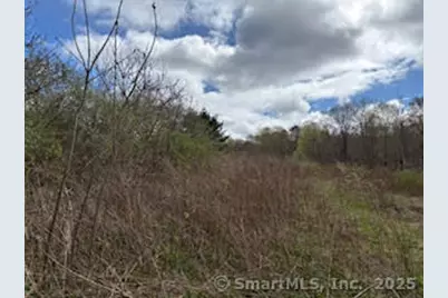 115 McBride Road, Litchfield, CT 06759 - Photo 18