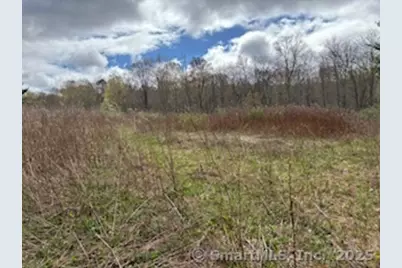 115 McBride Road, Litchfield, CT 06759 - Photo 12