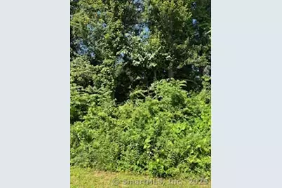 115 McBride Road, Litchfield, CT 06759 - Photo 24