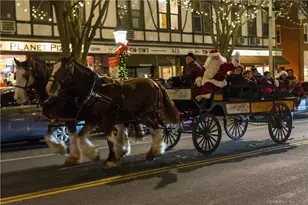 38 Olcott Way, Ridgefield, CT 06877 - Photo 30